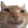 :catsmile: