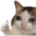 <:ok:1547956570967773184>