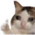 ok custom emote - Steal An Egg | Notifier