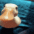 A small yellow duckling waddles closer to the camera against a blue background.