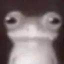 froglook
