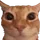 :kadse_stare: