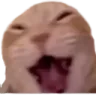 kadse_laugh custom emote | 𝔖𝔱𝔢𝔯𝔫𝔠𝔥𝔢𝔫‘𝔰𝔅𝔞𝔯🍸👣