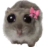 :cute_hamter: