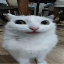 dipshit Discord emoji