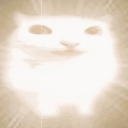 brightcat Discord sticker from awesome server