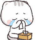 hmph_cry animated Discord emote - Voice Calls