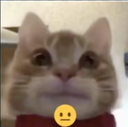 fff Discord sticker | 𝐦𝐞𝐨𝐰𝐬𝐥𝐲 🐾୭ ˚.