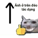 A cat with a human-like grin giving a thumbs up next to an upward pointing arrow and Vietnamese text.