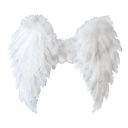 White feathered angel wings spread wide against a plain background.
