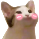 Anea Discord Emoji from #  `  𝗞𝗡𝗗𝗞 𝗙𝗮𝗺𝗶𝗹𝘆