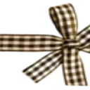 A black and white checkered ribbon tied into a decorative bow.