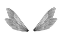 White feathered wings spread wide against a black background.
