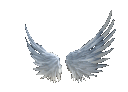 :03_angelwings: