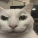 emoji_2 custom emote | 𝐦𝐞𝐨𝐰𝐬𝐥𝐲 🐾୭ ˚.