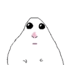A white hamster with a simple line-art style staring forward with wide, black eyes and a small pink nose.