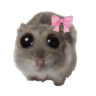 :6902hampterpls:
