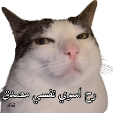 A white and gray cat looking sideways with a smug, judgmental expression and Arabic text overlaid at the bottom.