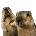 emoji_102