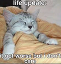 lifeupdate Discord Emoji | 𝑴𝑶𝑹𝒁𝑬𝑵