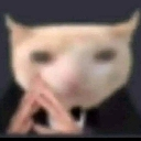 A cat with a human-like expression pressing its paws together in a scheming gesture.