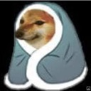 Cheems dog wrapped in a blue blanket looking cozy.