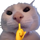 mewonyou Discord emoji