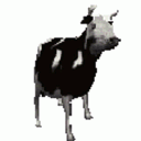 :alejandro: