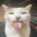 emoji_40