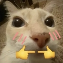 __ custom emote | Forge Core