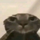 :eita:
