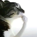 :hm: