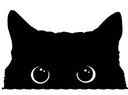 black_cat_lurk