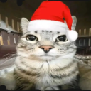 A cat with a deadpan expression wearing a red and white Santa hat.