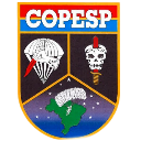 A shield emblem with a parachute, skull with a dagger, and a map, labeled with text at the top.
