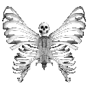 skeleton_butterfly