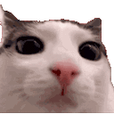 plink animated GIF emoji | Odd Asylum
