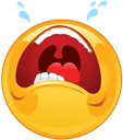 crying Discord emoji