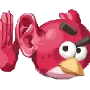 What_did_you_say