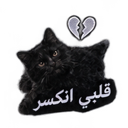 A black cat looking sad with a broken heart icon above its head and Arabic text below.