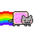 33648rainbowcat