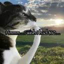 hmmmmm_intresting