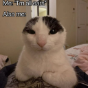me_rn Discord Emoji | BodyCommunity