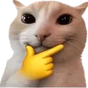 thinkingcat