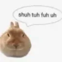 Shush