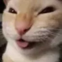 Evil_cat