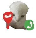 z_HACHIMI