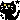 cat_yawn
