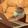 Cat_typing