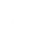 1_7_dns21